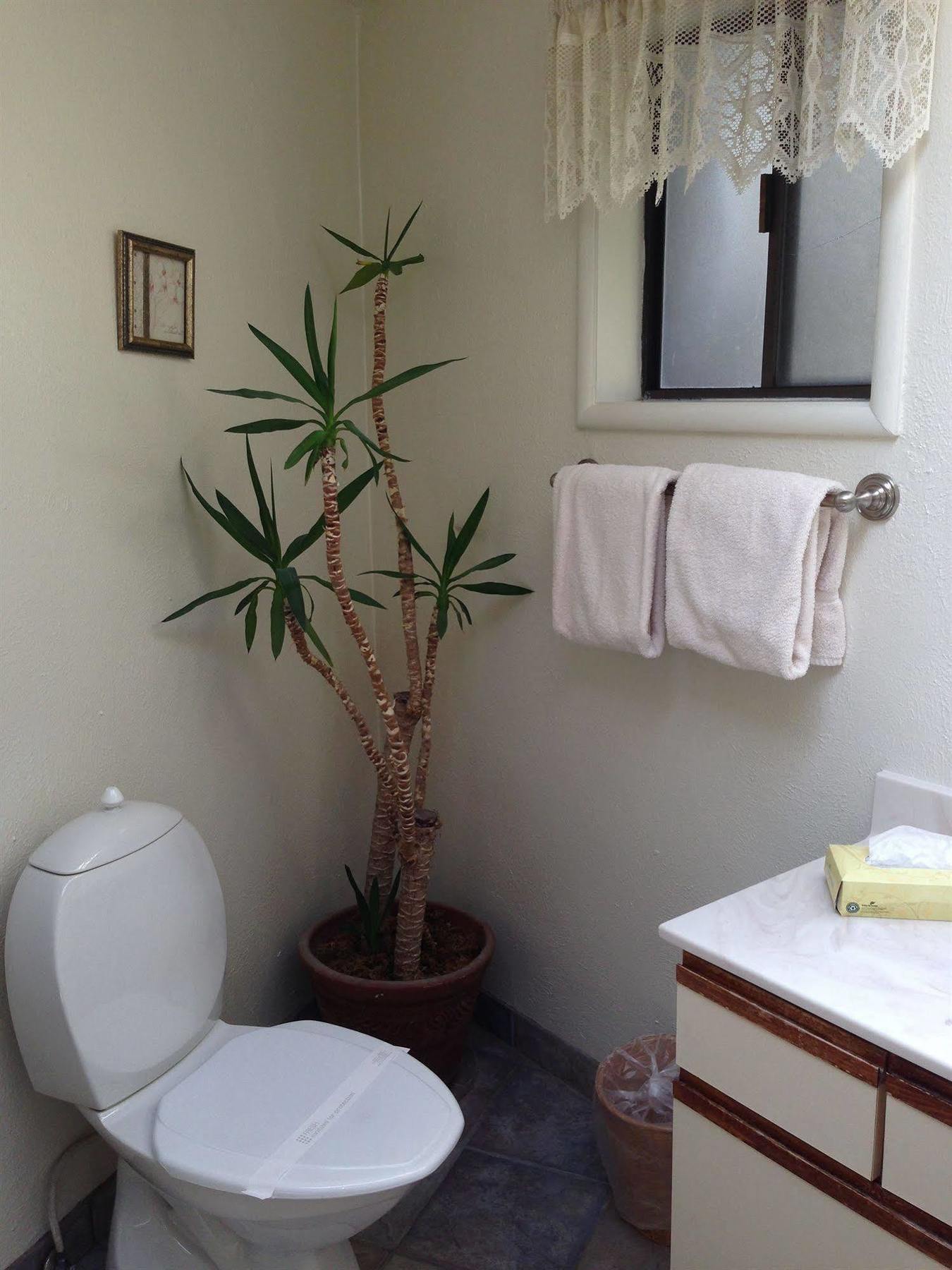 Fort Ross Lodge Jenner Εξωτερικό φωτογραφία
