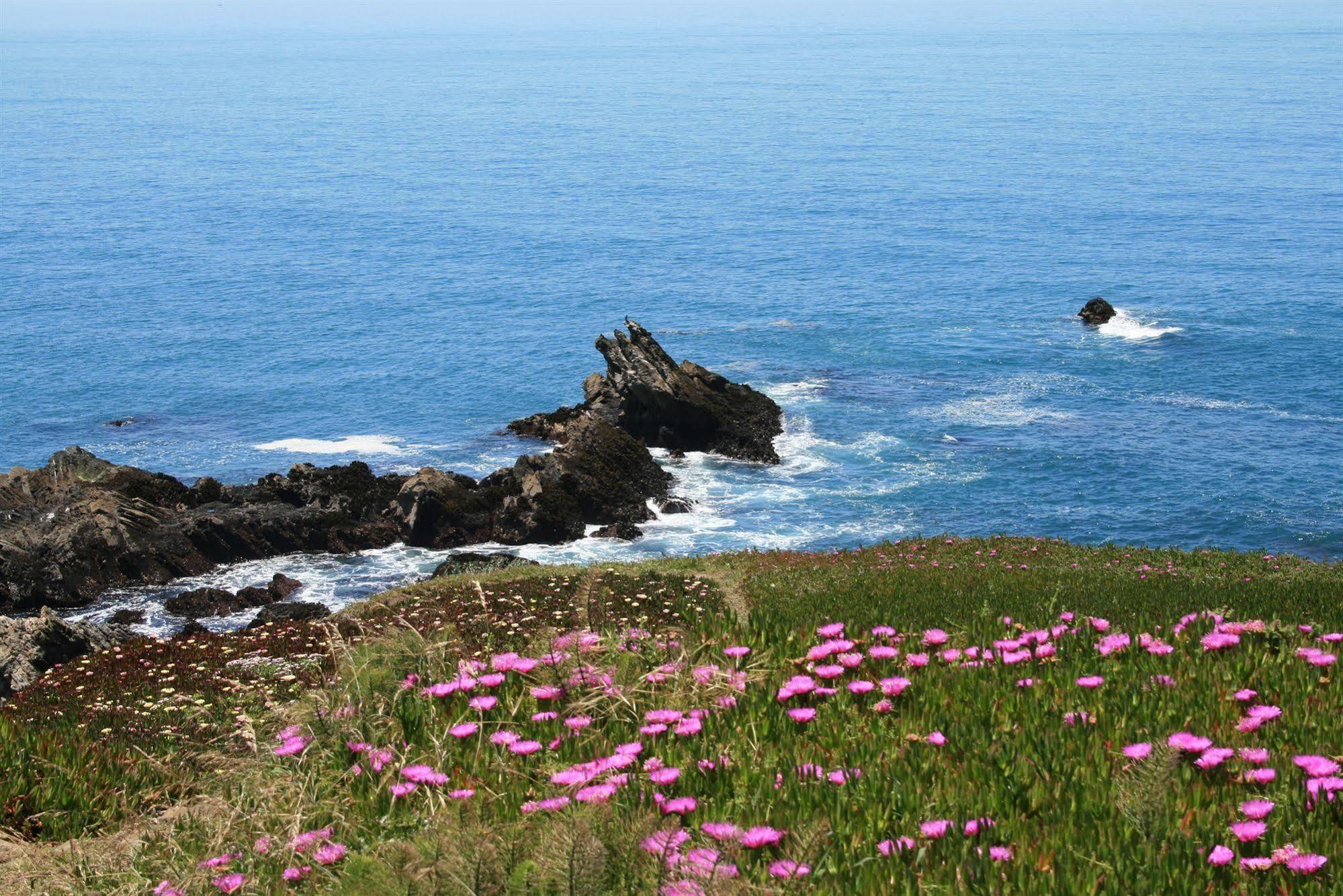 Fort Ross Lodge Jenner Εξωτερικό φωτογραφία